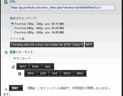 ポルノハブ 保存|2024無料｜Pornhub動画をPCやスマホにダウンロード・保存す 